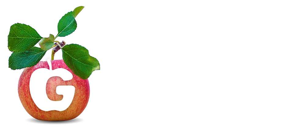 XD Logo